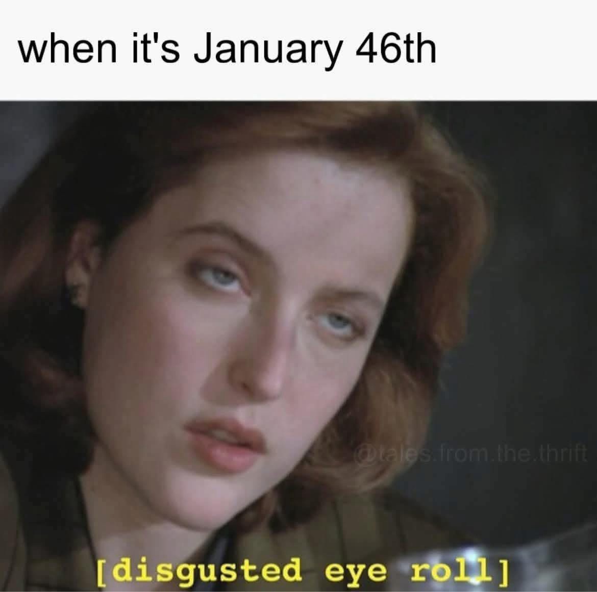 20 Memes That Are Pure Nonsense With a Side of Filth 21 Whens its january 46