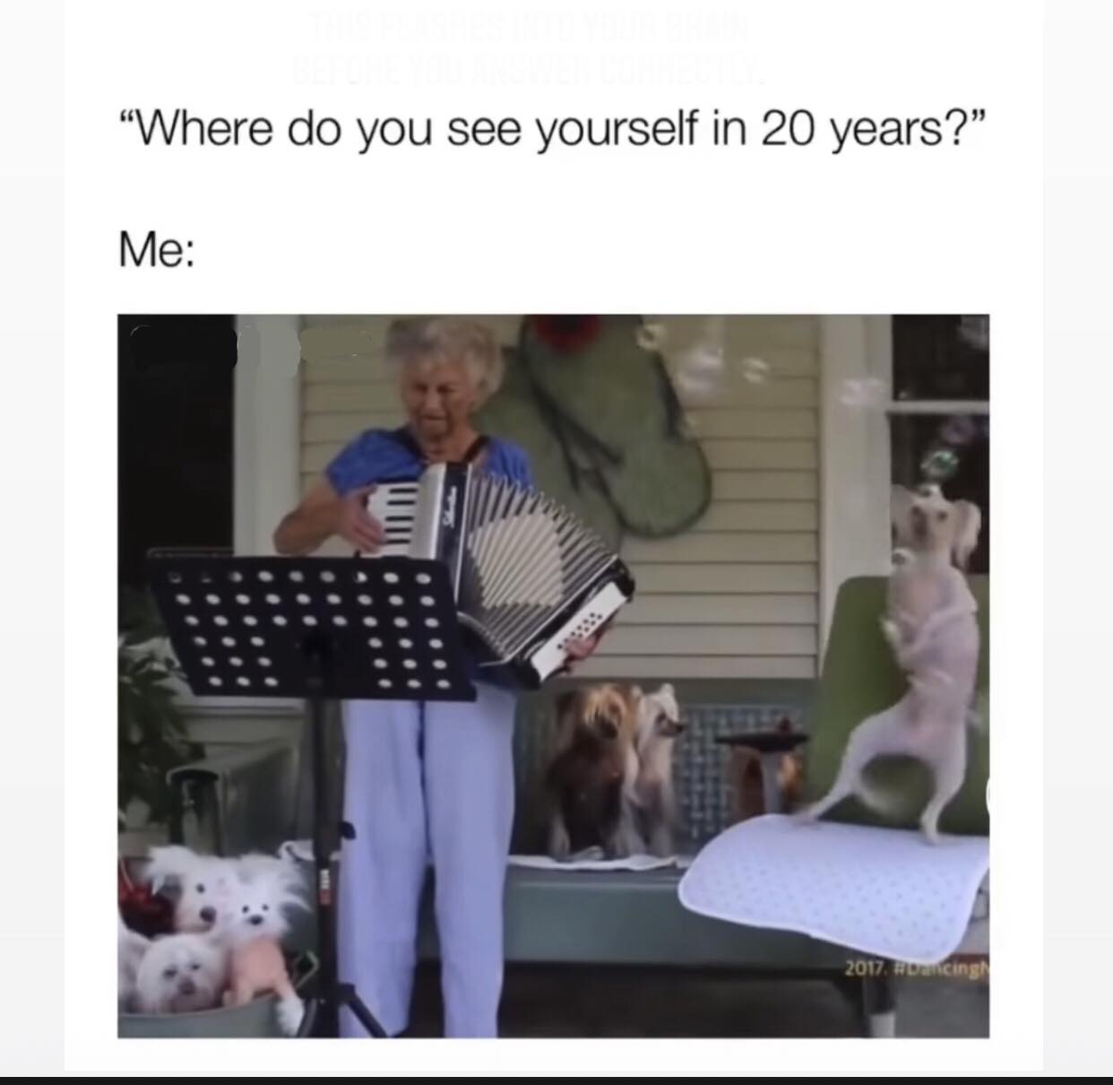 Where do you see yourself