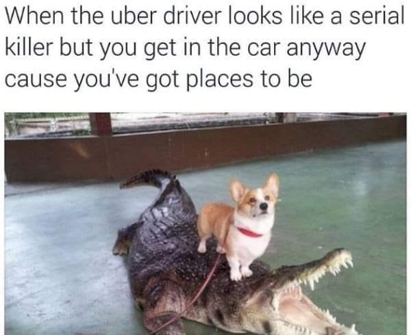 30 Girly Memes That Are Equal Parts Sass, Snacks, and Sin 32 Youve got places to be