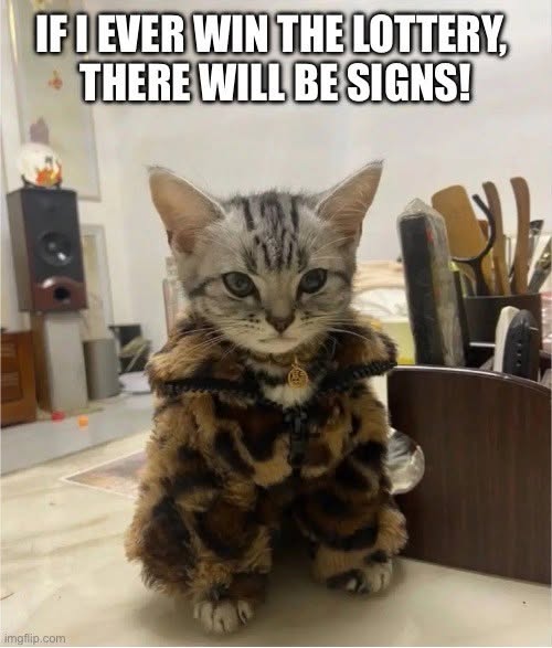 50 "If I Ever Won The Lottery, I Won't Tell Anybody. But There Will Be Signs" Memes 49 cat with fur