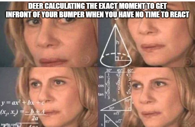 30 Deer Memes That'll Catch You Like Deer in the Headlights 28 deer calculating