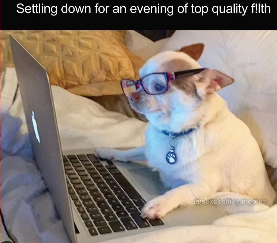 20 Memes That Are Pure Nonsense With a Side of Filth 6 ettiling down