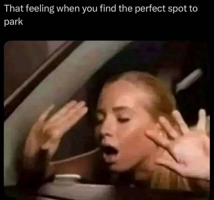 20 Memes That Are Questionable at First Look and Even More Questionable After 4 find the perfect parking spot