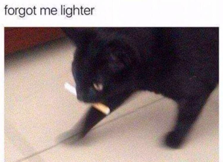 forgot me lighter