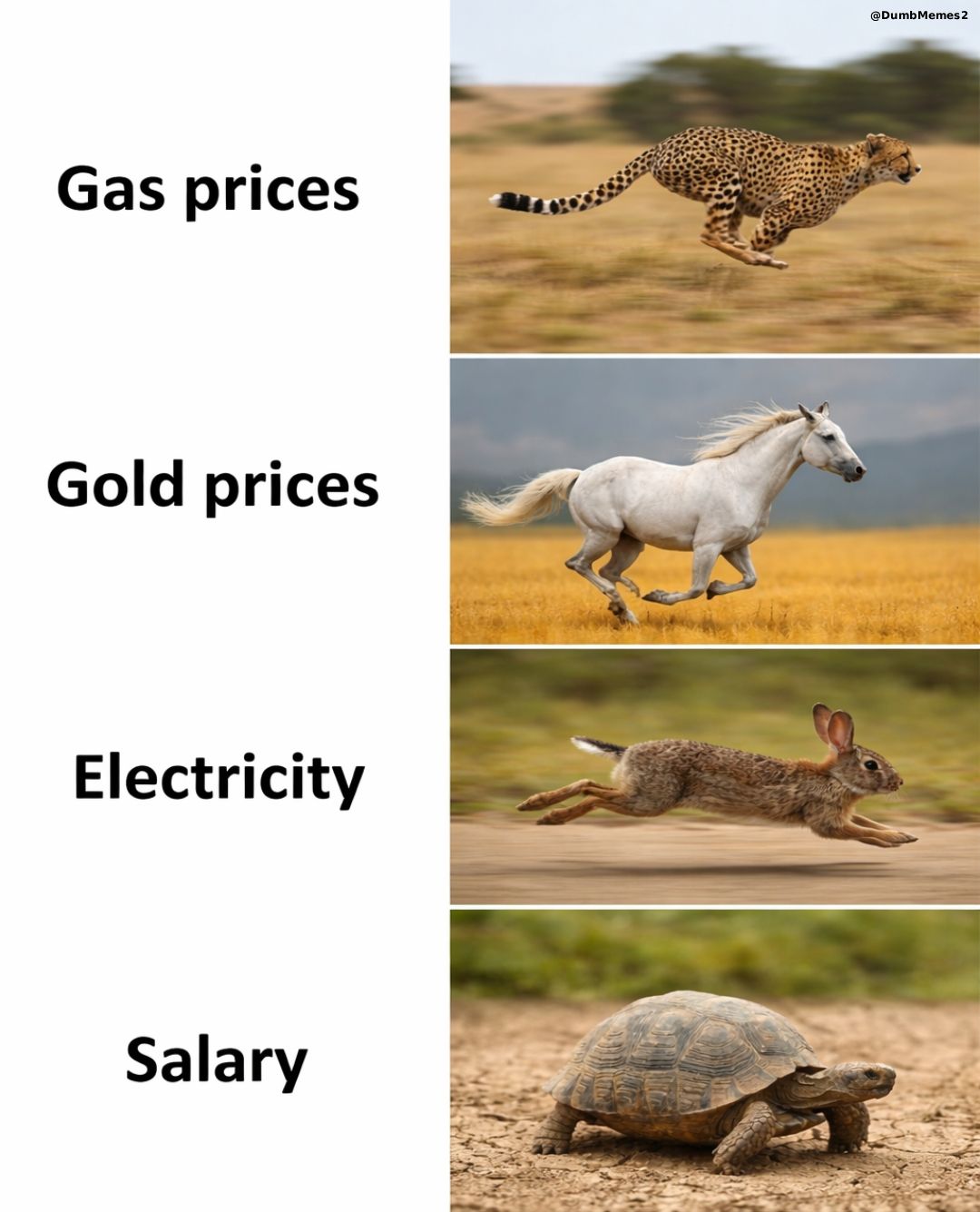 gas prices