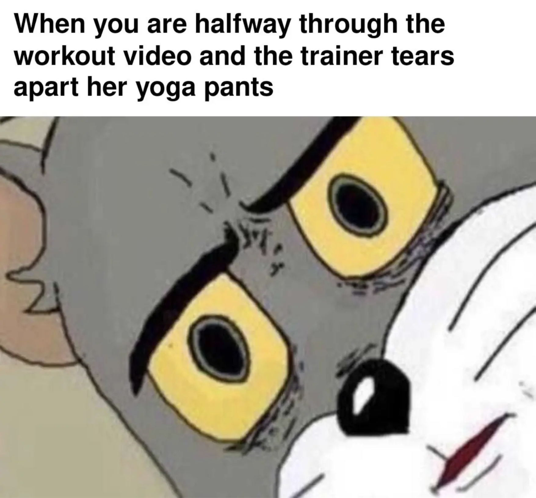 hald way thry workout