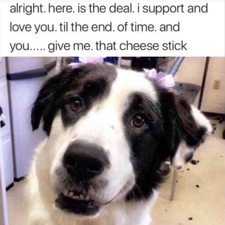 hat cheese stick