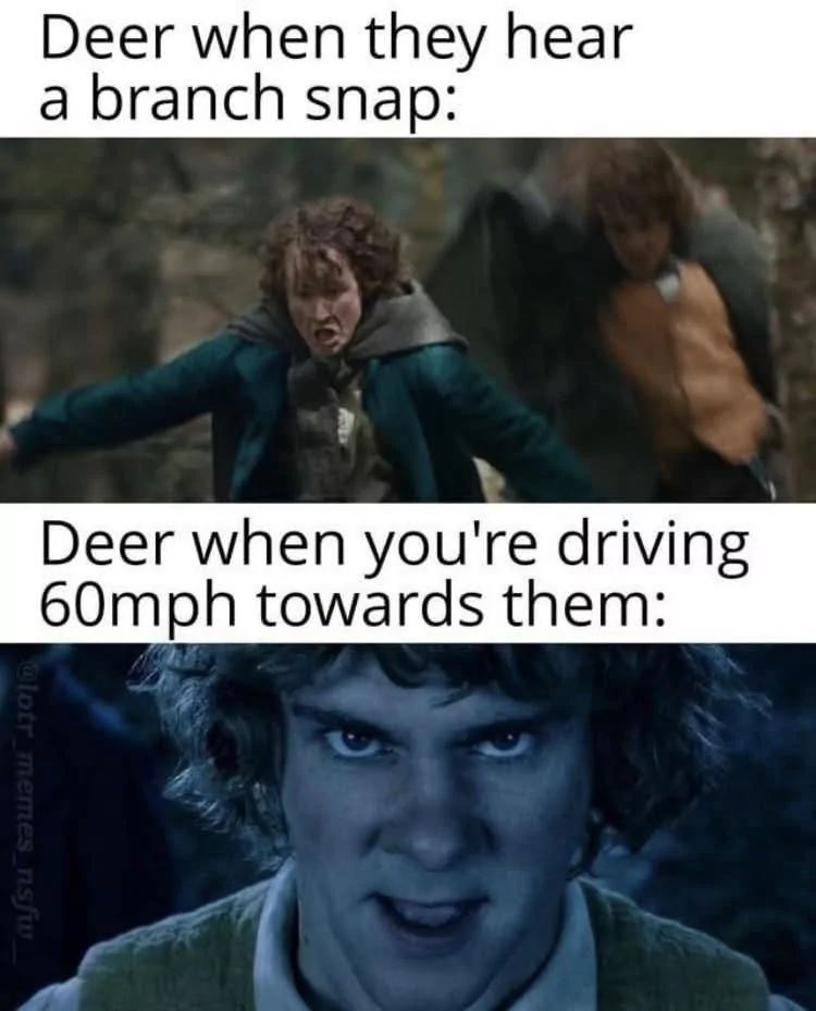 30 Deer Memes That'll Catch You Like Deer in the Headlights 29 hear abranch snap