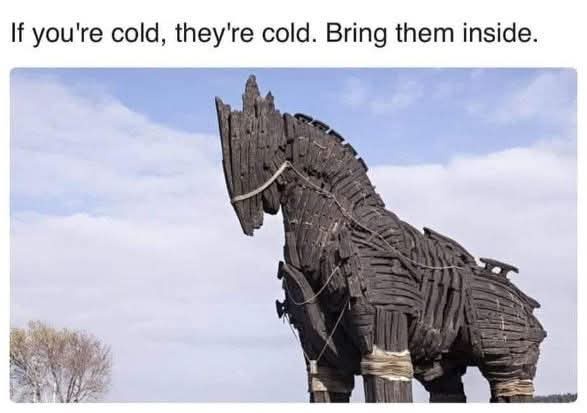 if youre cold