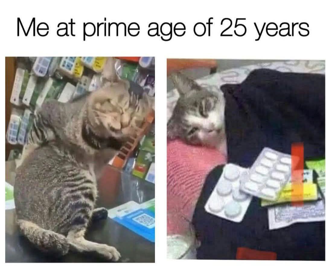 30 Memes to Feed Your Brain While You Rot Peacefully on a Sunday 28 me at prime age