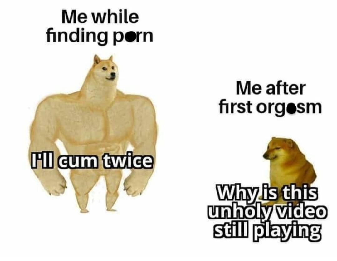 30 Memes That Are Unfiltered, Untamed, and Unapologetically Hilarious 29 me while finding