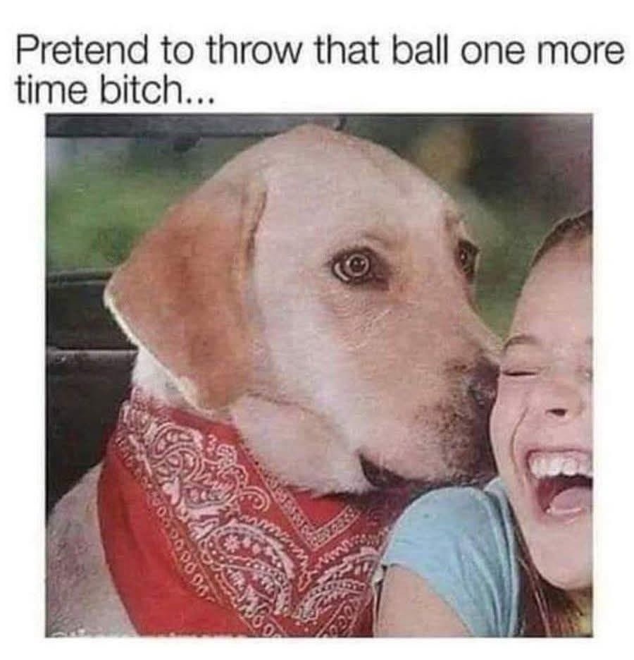pretent to throw