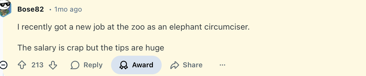  recently got a new job at the zoo as an elephan