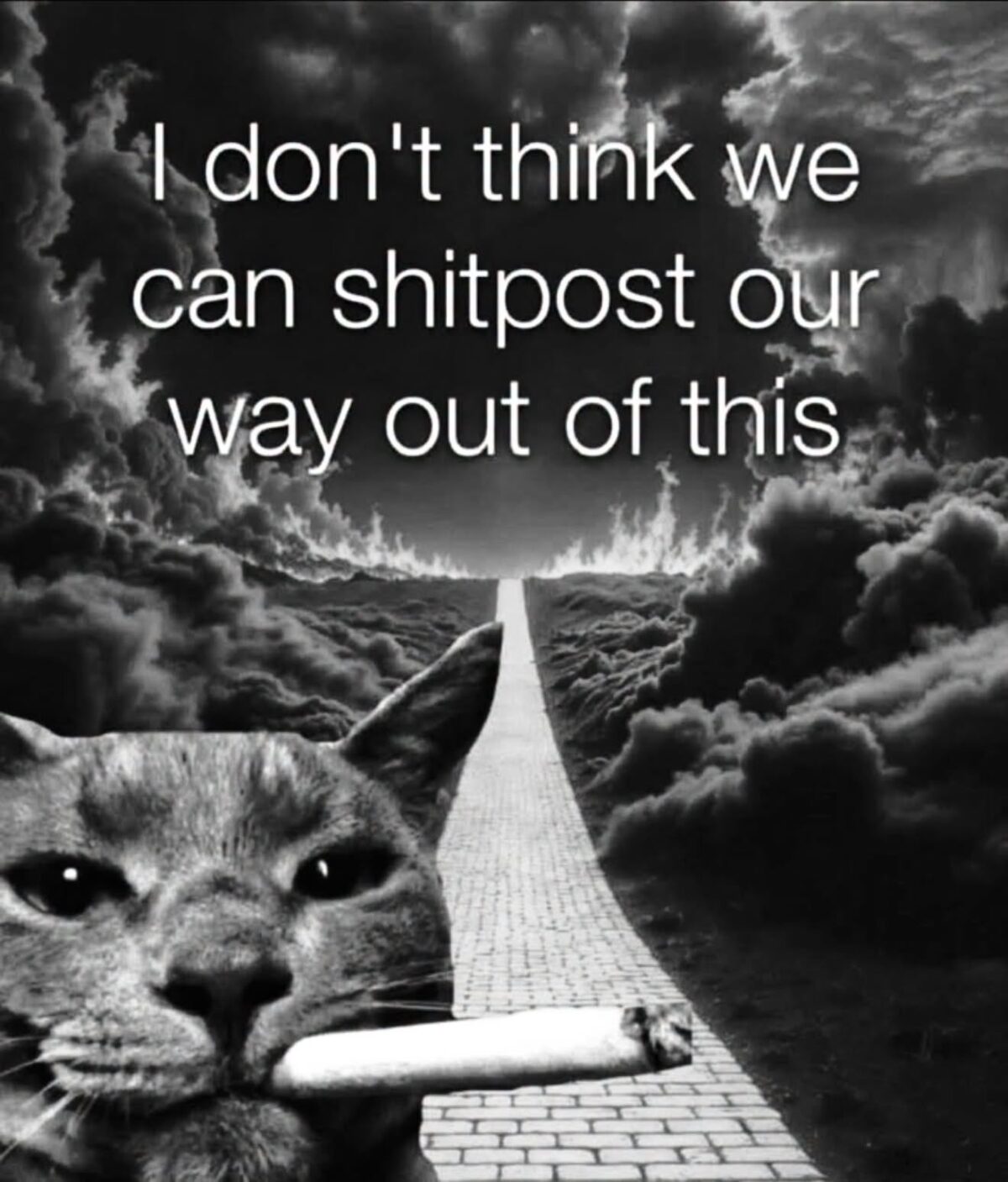 35 Unhinged Relatable Memes That Feel Like a Personal Attack 37 shitpost our way out of this