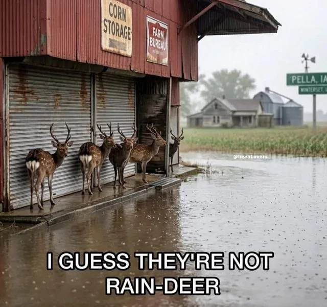 30 Deer Memes That'll Catch You Like Deer in the Headlights 31 they are not raindeer
