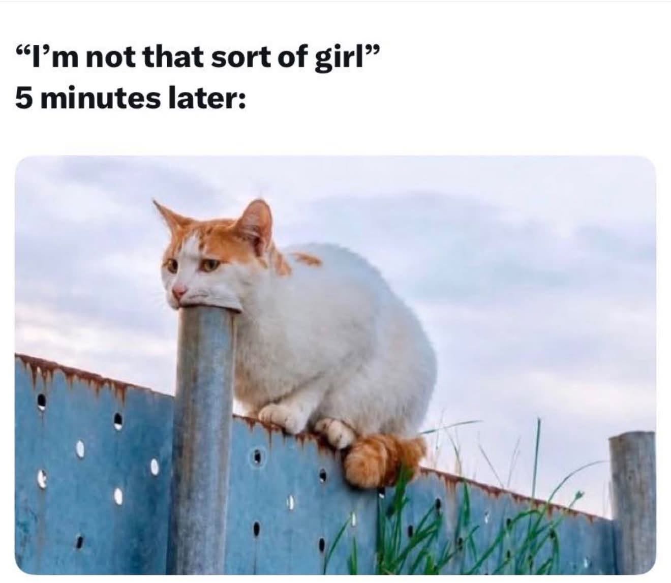 30 Provocative Memes That Look Innocent… Until They Don’t 28 5 mintu later