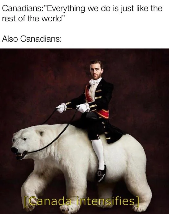20 Polar Bear Memes to Make International Polar Bear Day Unbearably Funny 1 Also canadians
