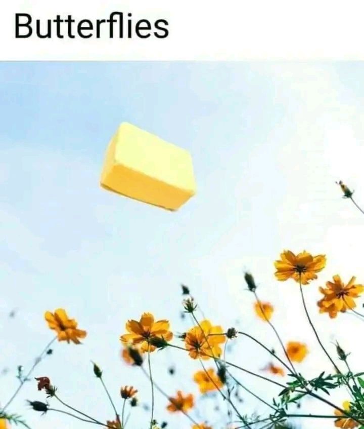 Butter flies