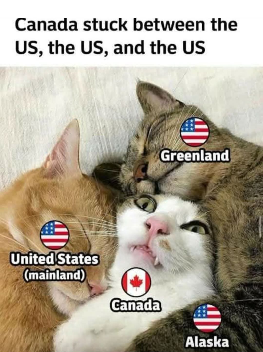 20 Memes That Have Zero Context and Unlimited Confidence 2 Canada stuck between US