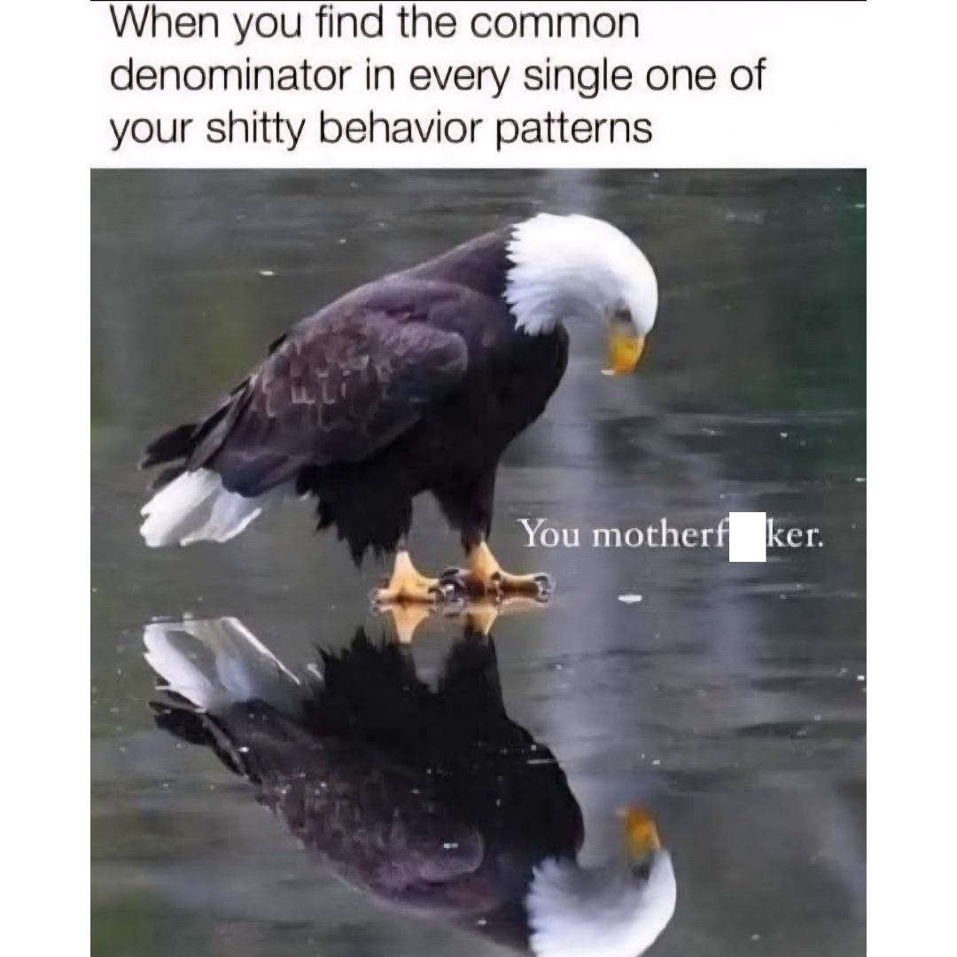 20 Memes That Have Zero Context and Unlimited Confidence 3 Common Denominator