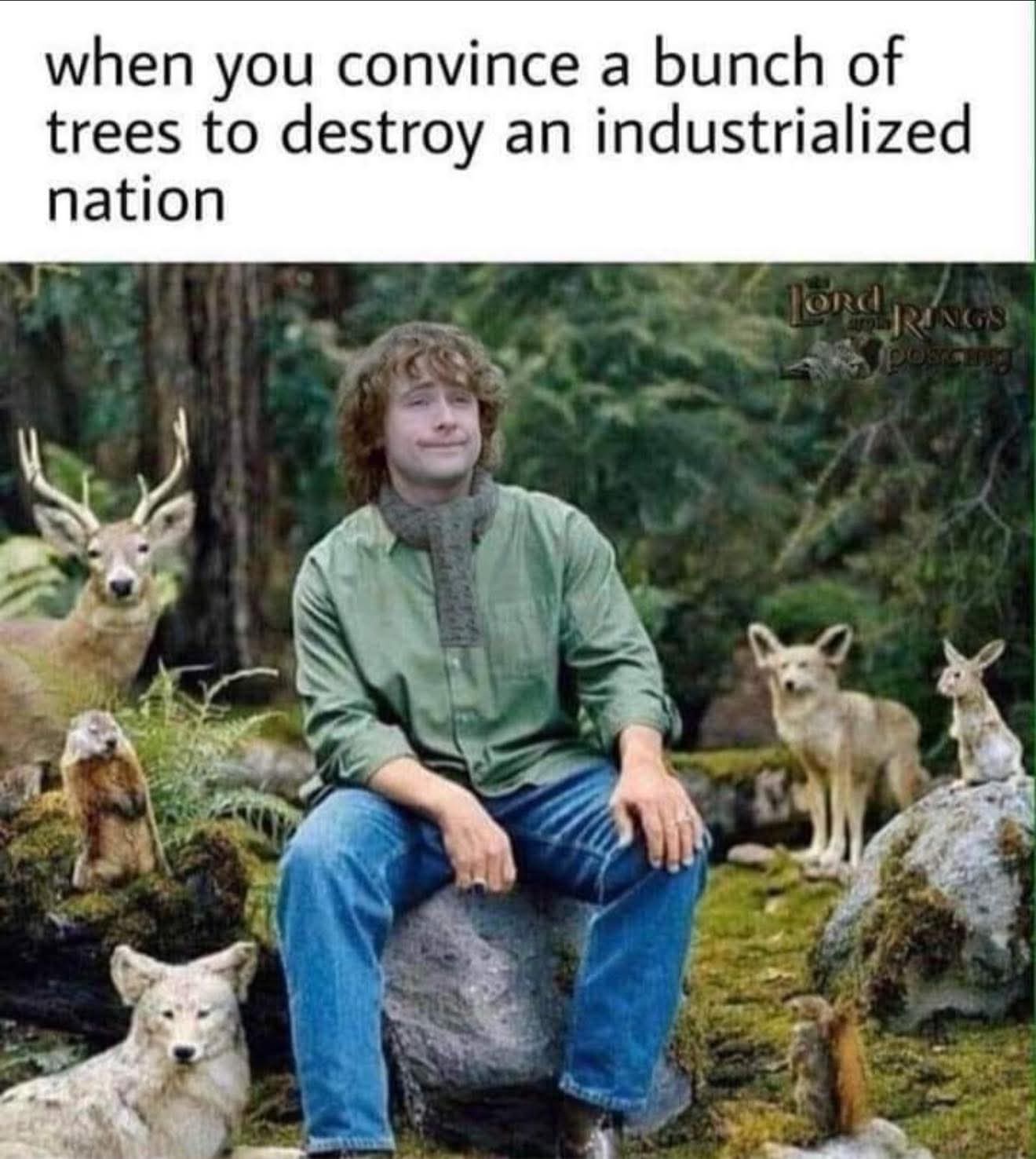 20 Memes That Have Zero Context and Unlimited Confidence 4 Convince a bunch of trees