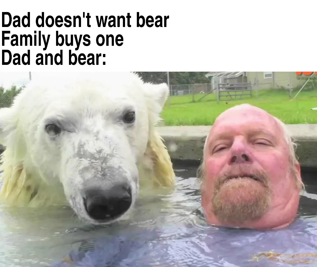 20 Polar Bear Memes to Make International Polar Bear Day Unbearably Funny 4 Dad doesnt want bear