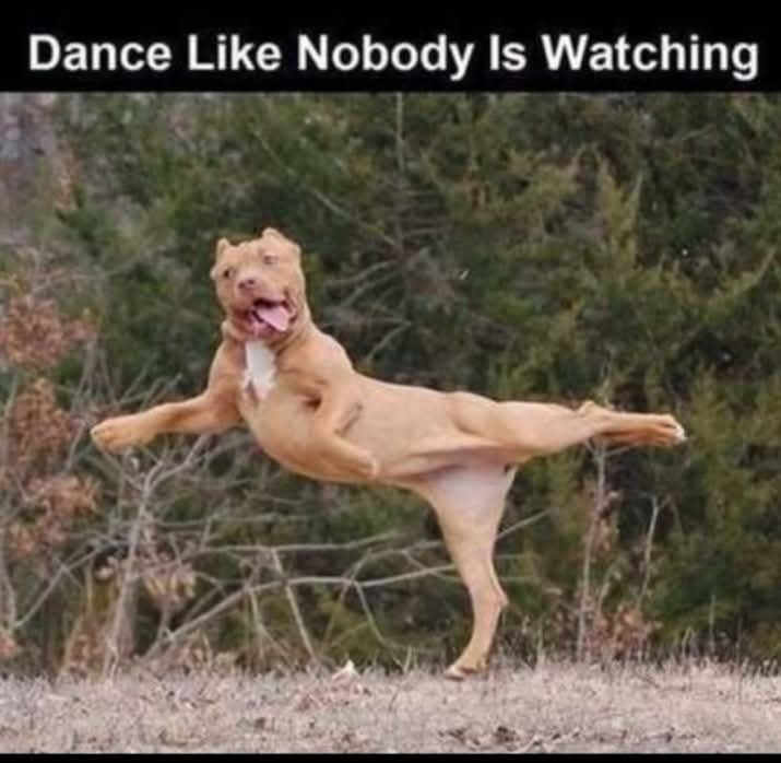 20 Memes That Are Light on the Outside, Loud on the Inside 2 Dance like nobody is watching