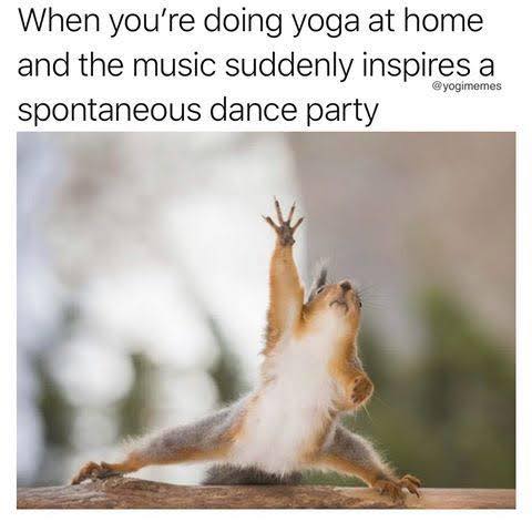 40 Hilarious Yoga Memes To Celebrate International Yoga Day 40 Doing yoga ta home