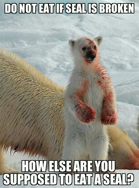 20 Polar Bear Memes to Make International Polar Bear Day Unbearably Funny 5 Dont eat