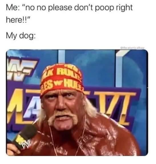 Dont poop right here