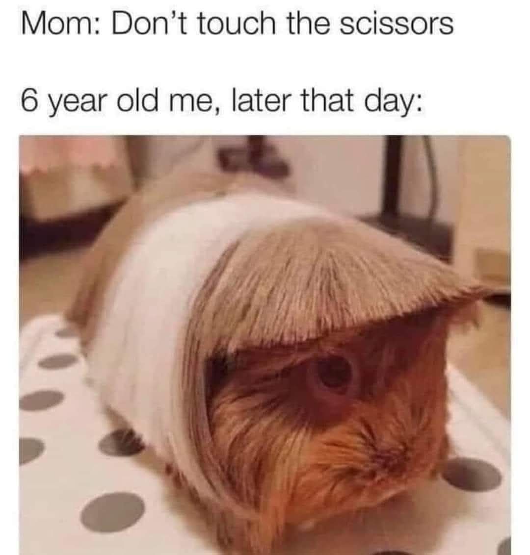 20 Memes That Used Sarcasm as a Personality Trait 4 Dont touch scissors