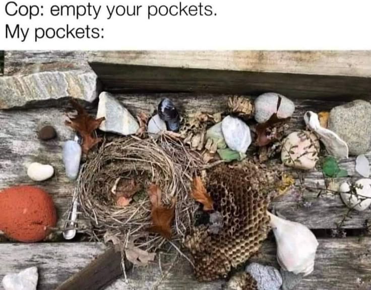35 Memes That Are the Holy Grail of Humor 33 Empty your pocket