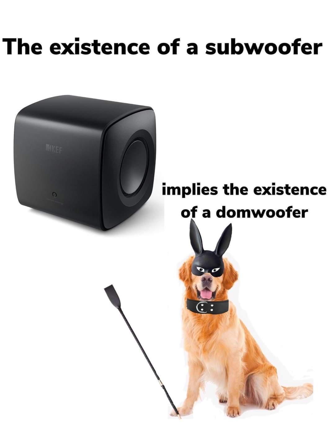 40 Unexpected Memes That Defy All Expectations 39 Existance of subwoofer