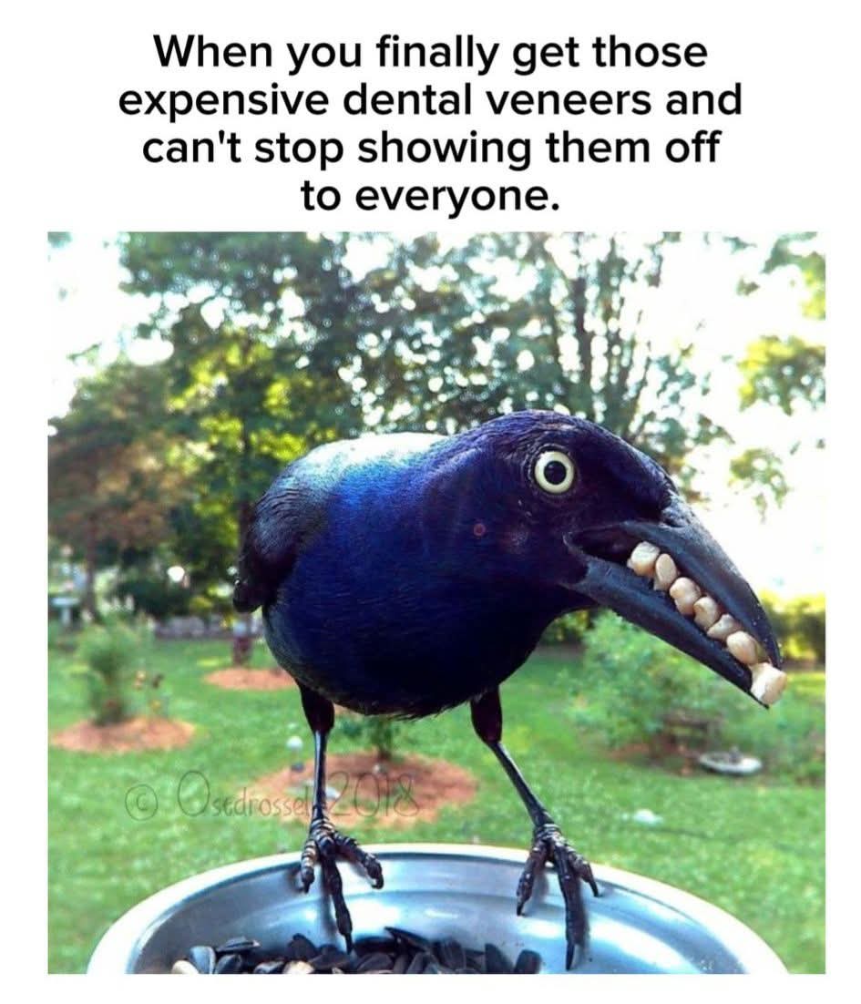 Expensive dental veeners