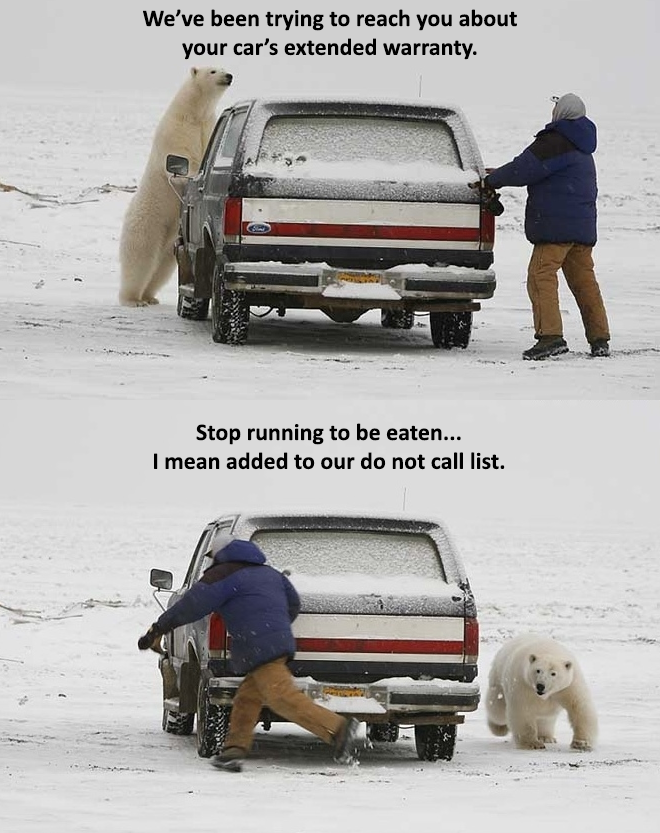 20 Polar Bear Memes to Make International Polar Bear Day Unbearably Funny 6 Extended warranty