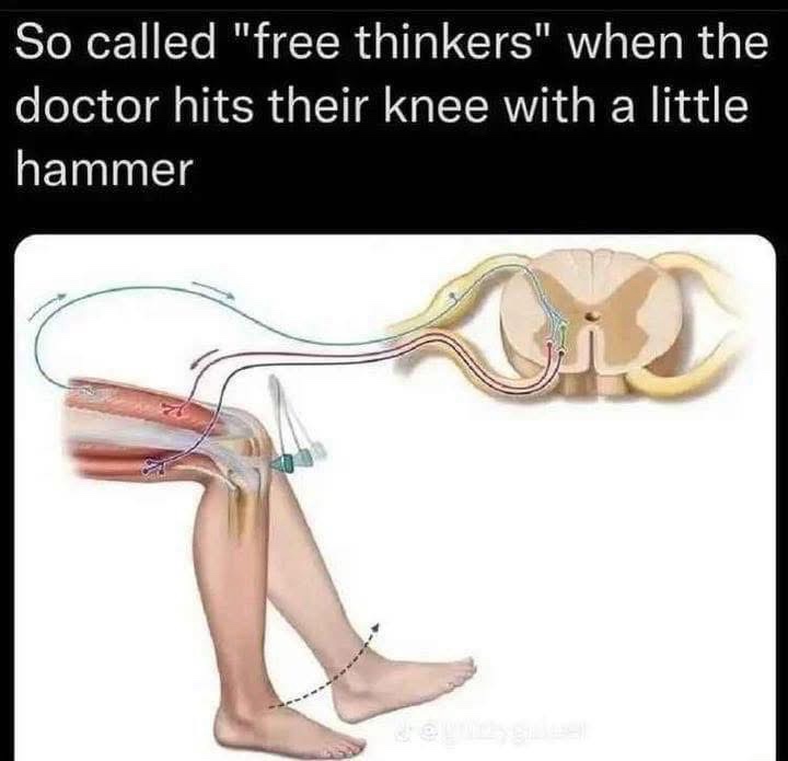 Free thinkers