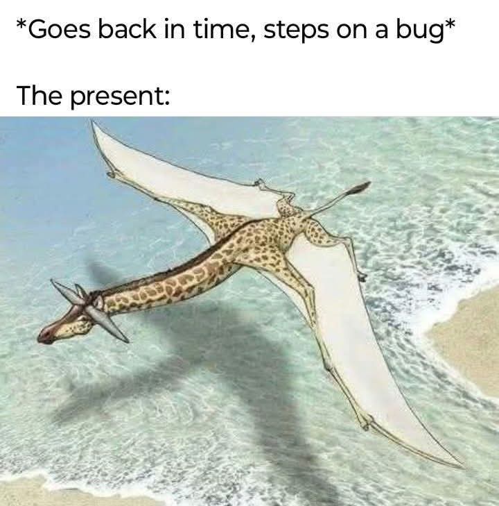 20 Memes That Have Zero Context and Unlimited Confidence 8 Goes back in time