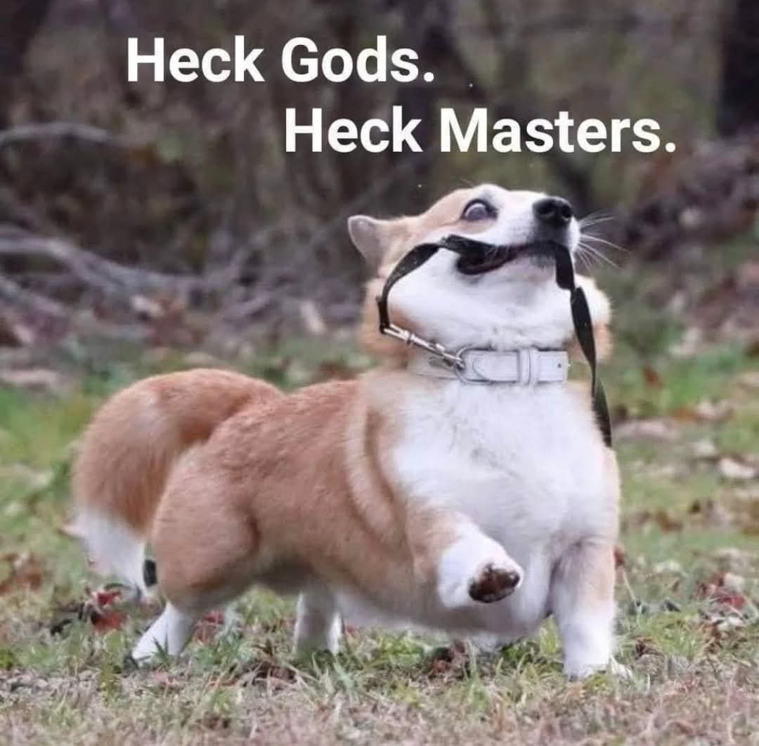 Heck masters