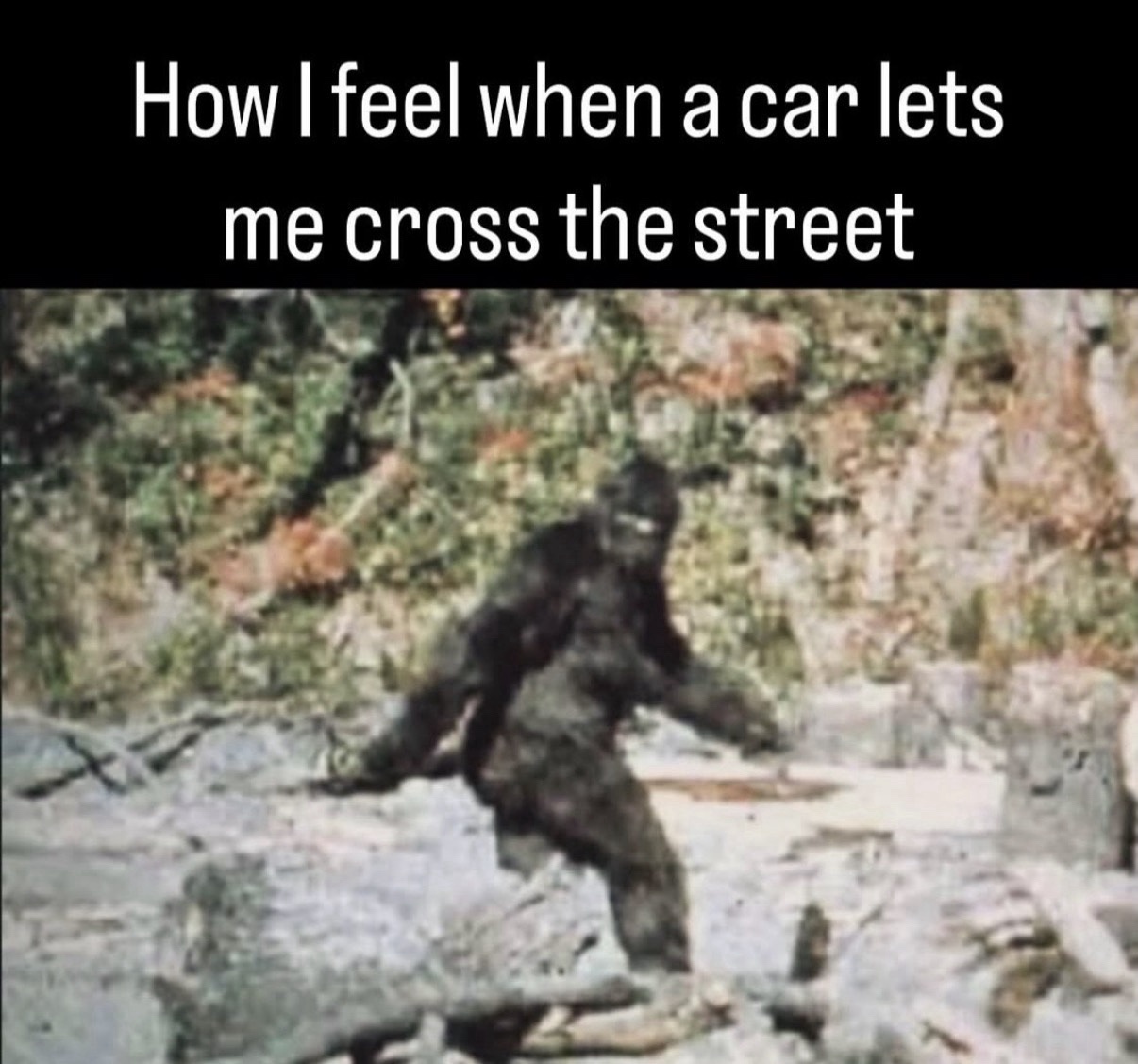 35 Memes That Are the Holy Grail of Humor 34 How I feel