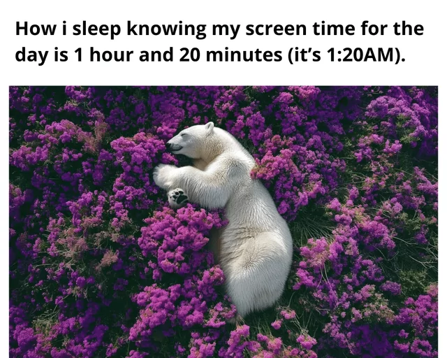 20 Polar Bear Memes to Make International Polar Bear Day Unbearably Funny 11 How I sleep