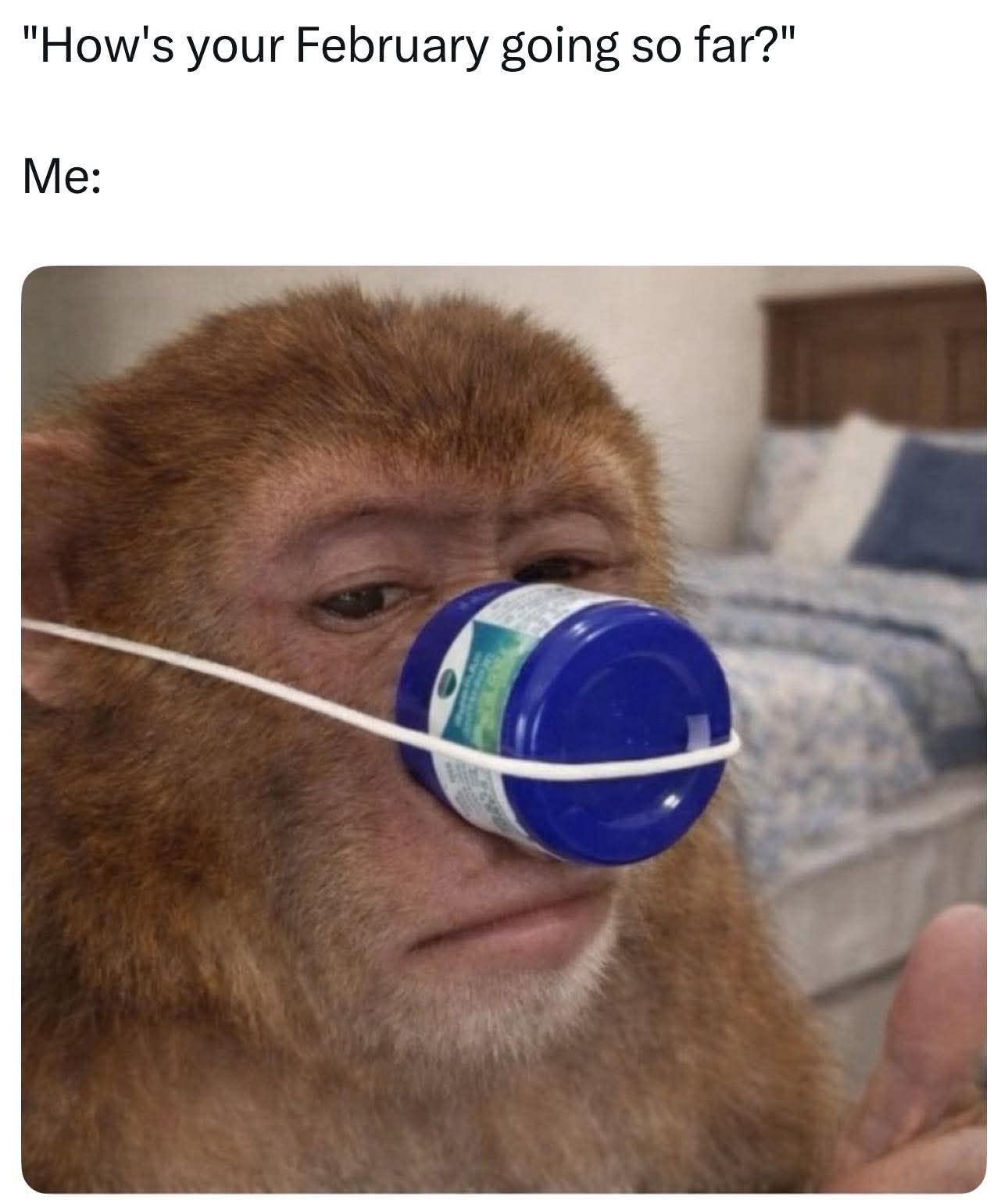 20 Memes That Are Light on the Outside, Loud on the Inside 11 Hows your feb going