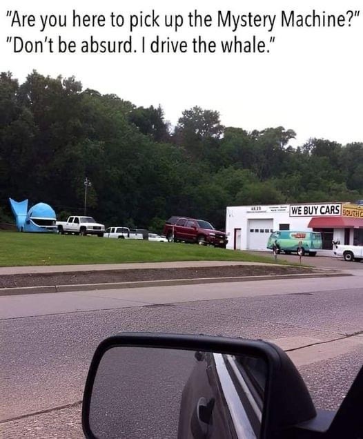 20 Memes That Make You Laugh Before Your Brain Can Stop You 12 I drive the whale
