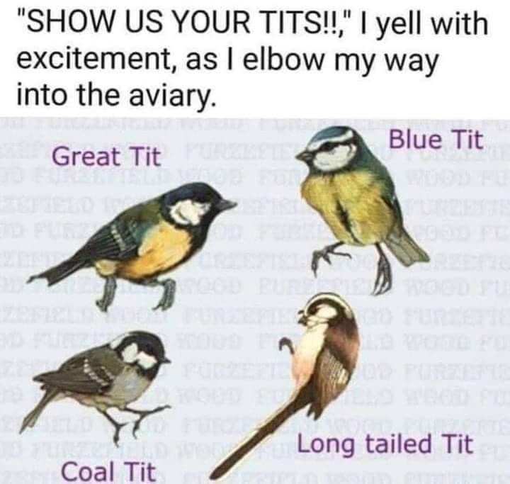 20 Memes That Make You Laugh Before Your Brain Can Stop You 13 I elbow my way