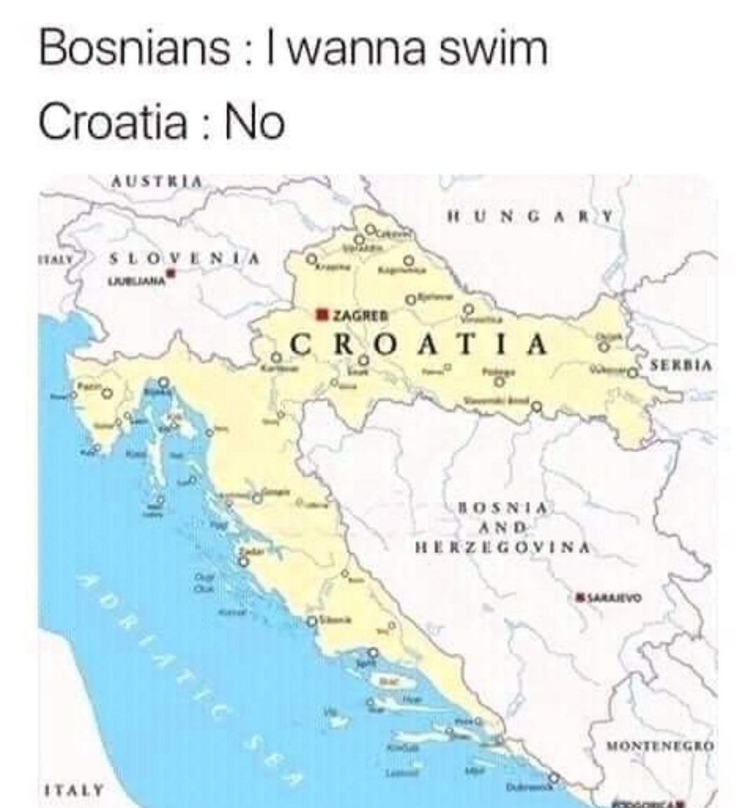 20 Amazing History Memes That Deserve Their Own Museum Wing 13 I wanna swim