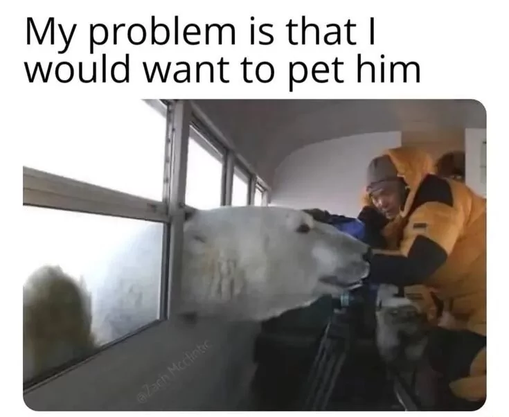20 Polar Bear Memes to Make International Polar Bear Day Unbearably Funny 13 I would want to pet him