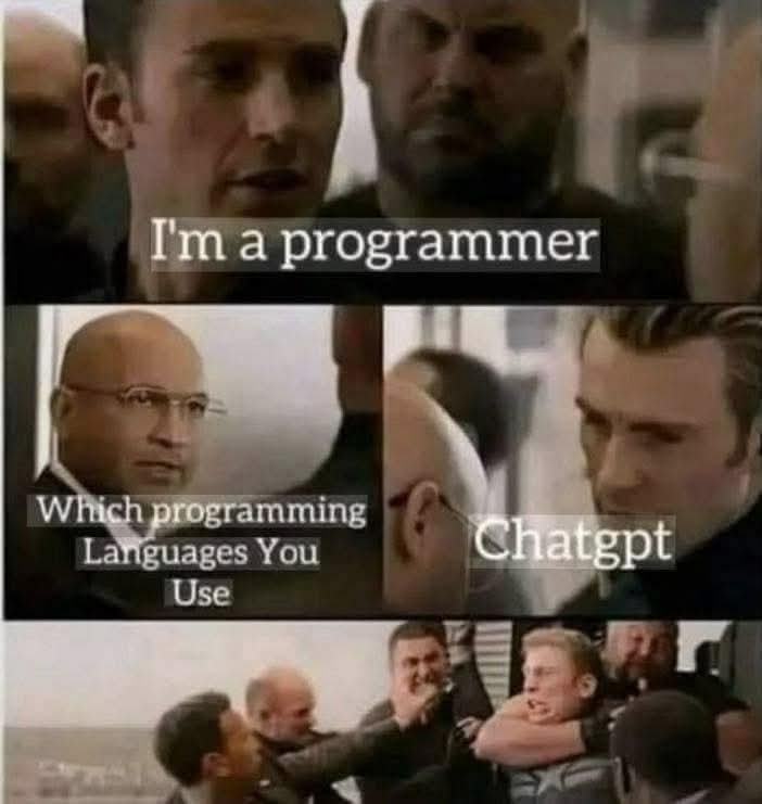 Im a programmer