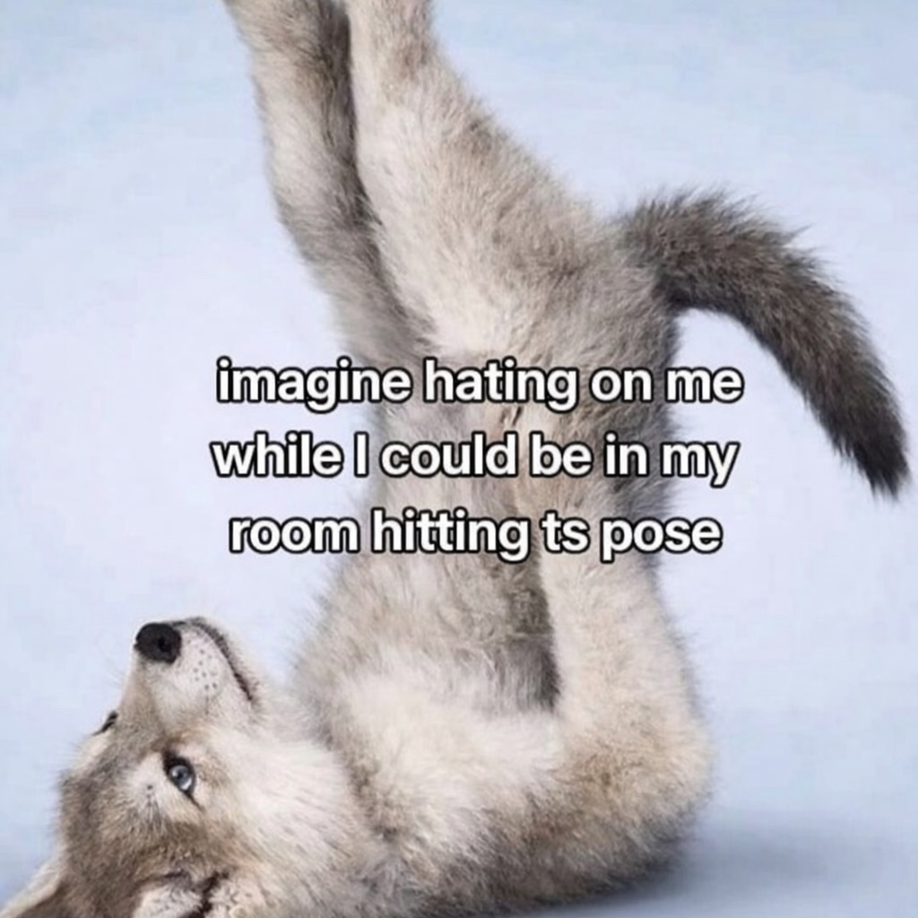 Imagine hating on me