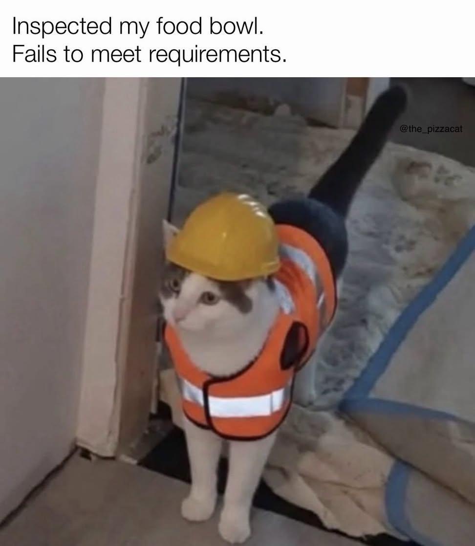 40 Clawsome Cat Memes: Get Ready To Laugh Your Whiskers Off! 41 Inspected my food bowl
