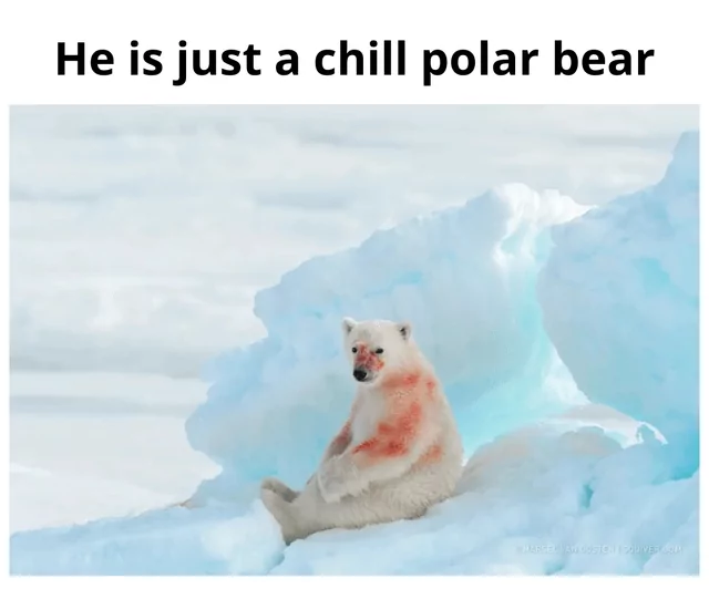 20 Polar Bear Memes to Make International Polar Bear Day Unbearably Funny 14 Just a chill polar bear