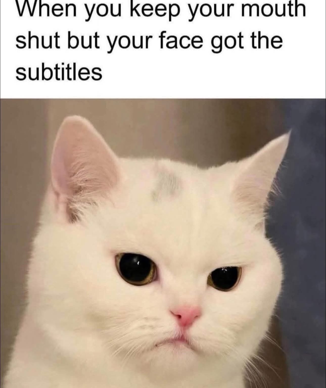 Keep your mouth shut